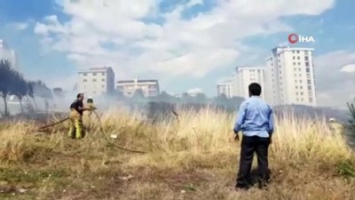  Beylikdüzün'de otluk alanda yangın çıktı: 4 köpek telef oldu 
