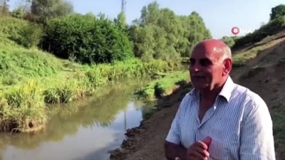  Deredeki balık ölümlerine vatandaştan tepki 
