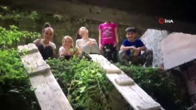  İnşaat malzemeleri arasında sıkışan yavru kediyi itfaiye kurtardı 