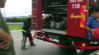  Piknikçiler çam ağaçlarını alanı yaktı 