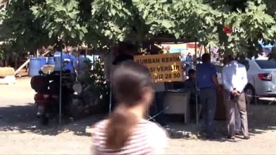 kurban pazari -  Zeytinburnu’nda kurbanlık satışları başladı  Videosu