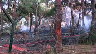 Bornova'daki orman yangını kontrol altına alındı - İZMİR