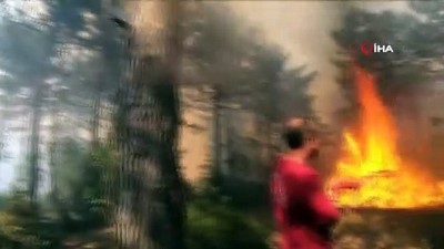  Bursa'daki orman yangınının dehşete düşüren görüntüleri kameraya yansıdı