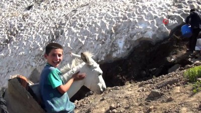  Göçerler su ihtiyaçlarını Nemrut Dağı'ndan topladıkları karla çözüyor 