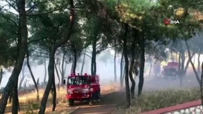  İzmir’in Konak ilçesinde orman yangını çıktı. Yerleşim yerlerine yakın olduğu belirtilen yangına 3 helikopter 8 arazöz ile müdahale ediliyor.