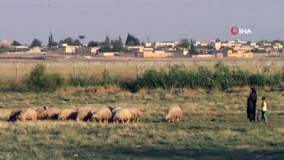 cakal - PKK/PYD Terör örgütü sınırdaki bez parçalarını indirdi Videosu