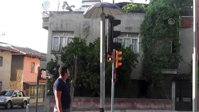 Trafik ışıklarına yuva yapan kumruya şemsiyeli koruma - İZMİR 