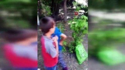 ilham -  Faciayla sonuçlanan pikniğin görüntüleri ortaya çıktı Videosu