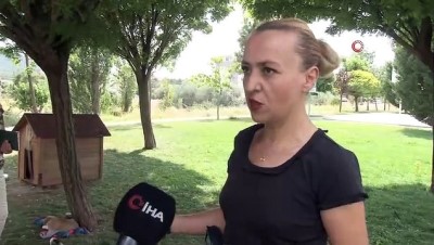 sokak kopegi -  Şikayet 5 yavru köpeği annesiz bıraktı  Videosu