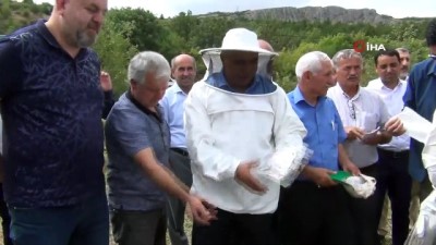  Tokat'ta bal hasadı başladı 