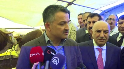 kurban pazari - Bakan Pakdemirli kurban pazarını ziyaret etti - ANKARA Videosu