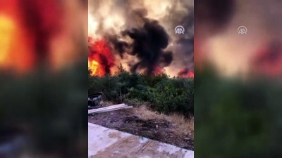 is makinesi - Bodrum'da orman yangını (2) - MUĞLA  Videosu