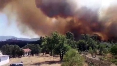 Bodrum'daki orman yangını