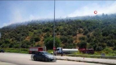  Bursa Kestel'de orman yangını 