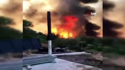  Milas’ta orman yangını