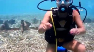 scuba -  Otizmli çocuk annelerinin tüplü dalış keyfi Videosu