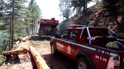 Pozantı'da orman yangını - ADANA