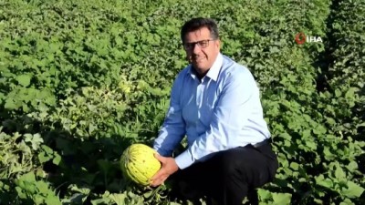 sahte urun -  Tüketiciye sahte Kırkağaç kavunu uyarısı  Videosu