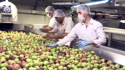 karahisar - Afyonkarahisar'da üretilen meyve konsantreleri ABD sofralarında  Videosu