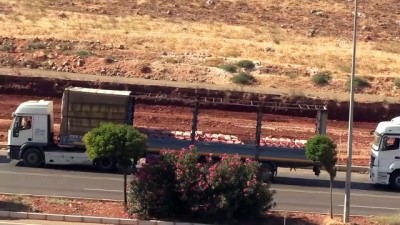 hanli - Cilvegözü Sınır Kapısı'nda tır yoğunluğu - HATAY  Videosu