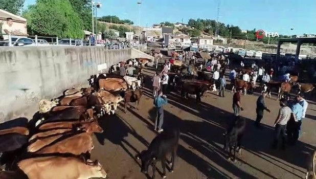 diyarbakir da kurbanlik hareketliligi basladi kurban pazari havadan goruntulendi