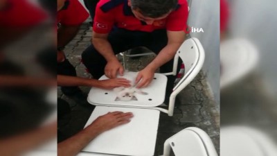 sparta -  Kalbi duran kediyi, itfaiye erinin müdahalesi kurtaramadı  Videosu