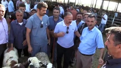 hayvan pazari - Kurban Bayramı'na doğru - IĞDIR  Videosu