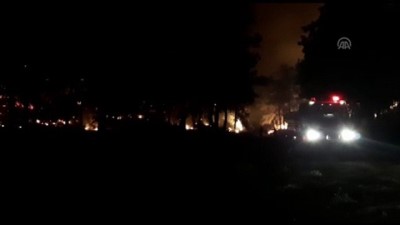Manavgat'ta orman yangını (2) - ANTALYA 