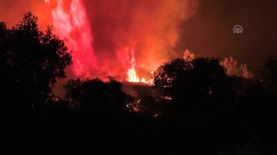 Manavgat'ta orman yangını (3) - ANTALYA 