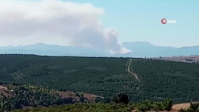  Bursa'da orman yangını