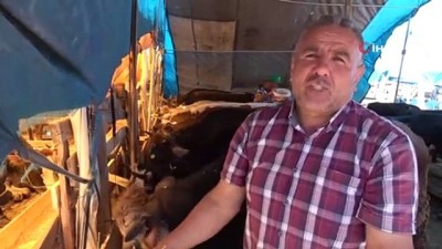  Kurban pazarında türkü sesleri yükseliyor 