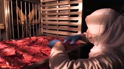 sanayi uretimi - ABD ve Avrupa'ya cips formunda kavun karpuz ihracatı - AFYONKARAHİSAR  Videosu