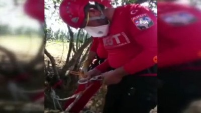  AKUT, kuyuya düşen tilki için seferber oldu