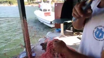 balik avi - Barınağın ağzı kum dolunca balıkçılar denize açılamadı - KASTAMONU  Videosu