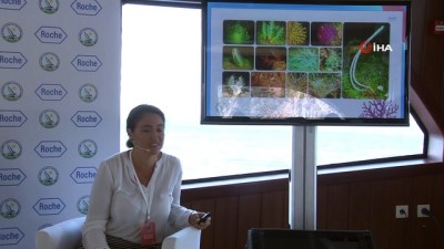  'Denizler Yaşam Dolsun' projesiyle Marmara Denizi'nde mercan nakli gerçekleştiriyor