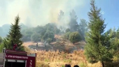 ormanli - Orman ve zeytinlik yangını - AYDIN Videosu