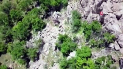  Çatak kırsalında PKK’ya ait el bombaları imha edildi