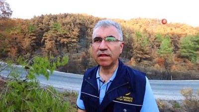 orman yanginlari -  Göreve başladı, ilk işi yangın alanında inceleme oldu  Videosu