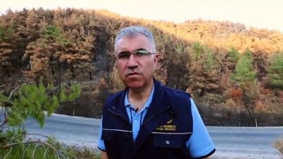 taahhut - Karabağlar'daki orman yangını - İZMİR  Videosu