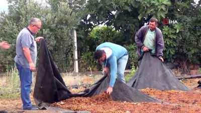 domates tarlasi -  Manisa’da şiddetli yağmur ekili alanları vurdu Videosu