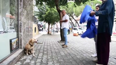 yerel gazete - Yağmurda ıslanan köpeği kıyafetiyle kuruladı - MUĞLA Videosu