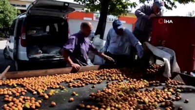 erenli -  10 dakikada 200 kilo ceviz kabuğunu soyan makine, üreticinin yüzünü güldürüyor  Videosu