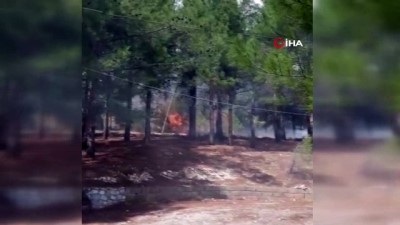  Kahramanmaraş’ta yangın: 5 hektarlık zeytinlik alan zarar gördü