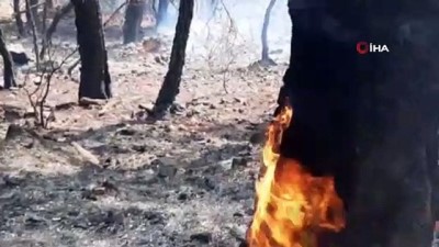 yildirim dusmesi -  Ortaca’daki yangın devam ediyor  Videosu