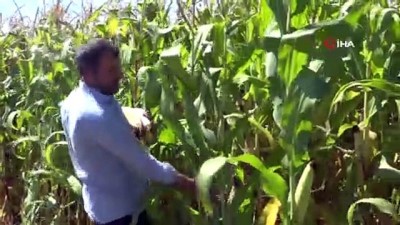 kazanci -  733 milyonluk yatırım bitmeden, çiftçiye katkı sağlamaya başladı  Videosu