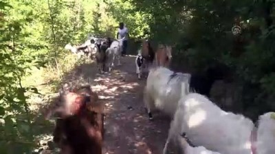 lise egitimi - Hayalindeki yaşamı köyünde buldu - BARTIN  Videosu