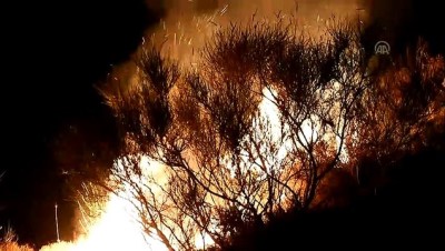 makilik alan - Bodrum'da makilik alanda yangın (2) - MUĞLA  Videosu