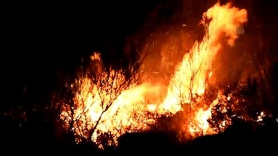makilik alan - Bodrum'da makilik alanda yangın - MUĞLA  Videosu
