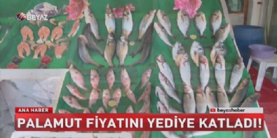 Palamut fiyatını yediye katladı