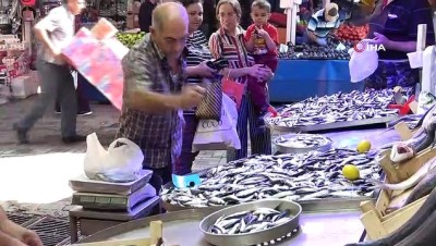 av mevsimi -  Tezgâhta en ucuz balık sardalye  Videosu
